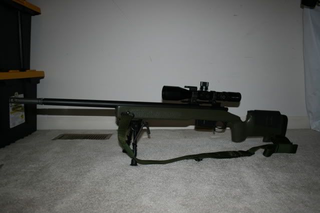 m40a5010.jpg