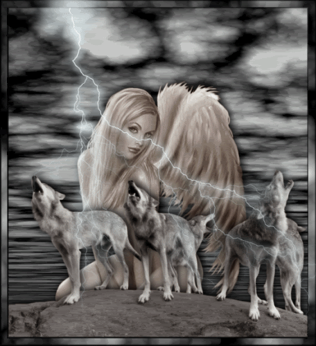 Angel &amp; Wolves