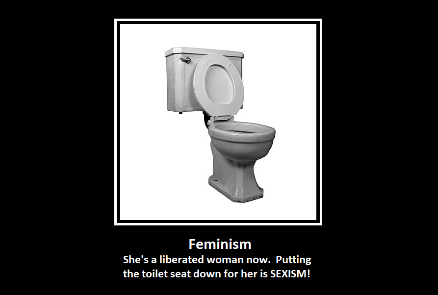 http://i292.photobucket.com/albums/mm30/KazikliBey/FeminismToilet.png