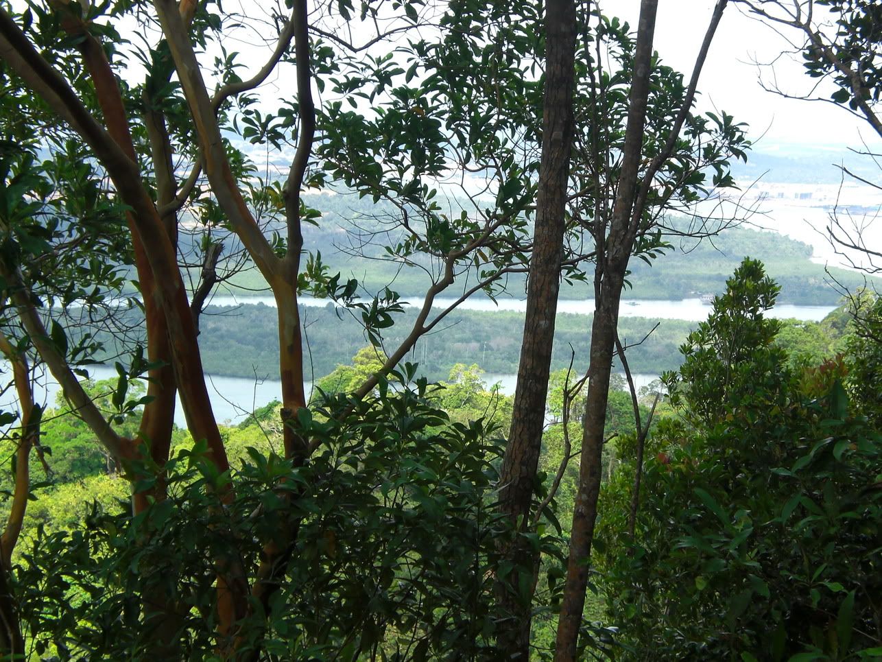 Right side of view:)