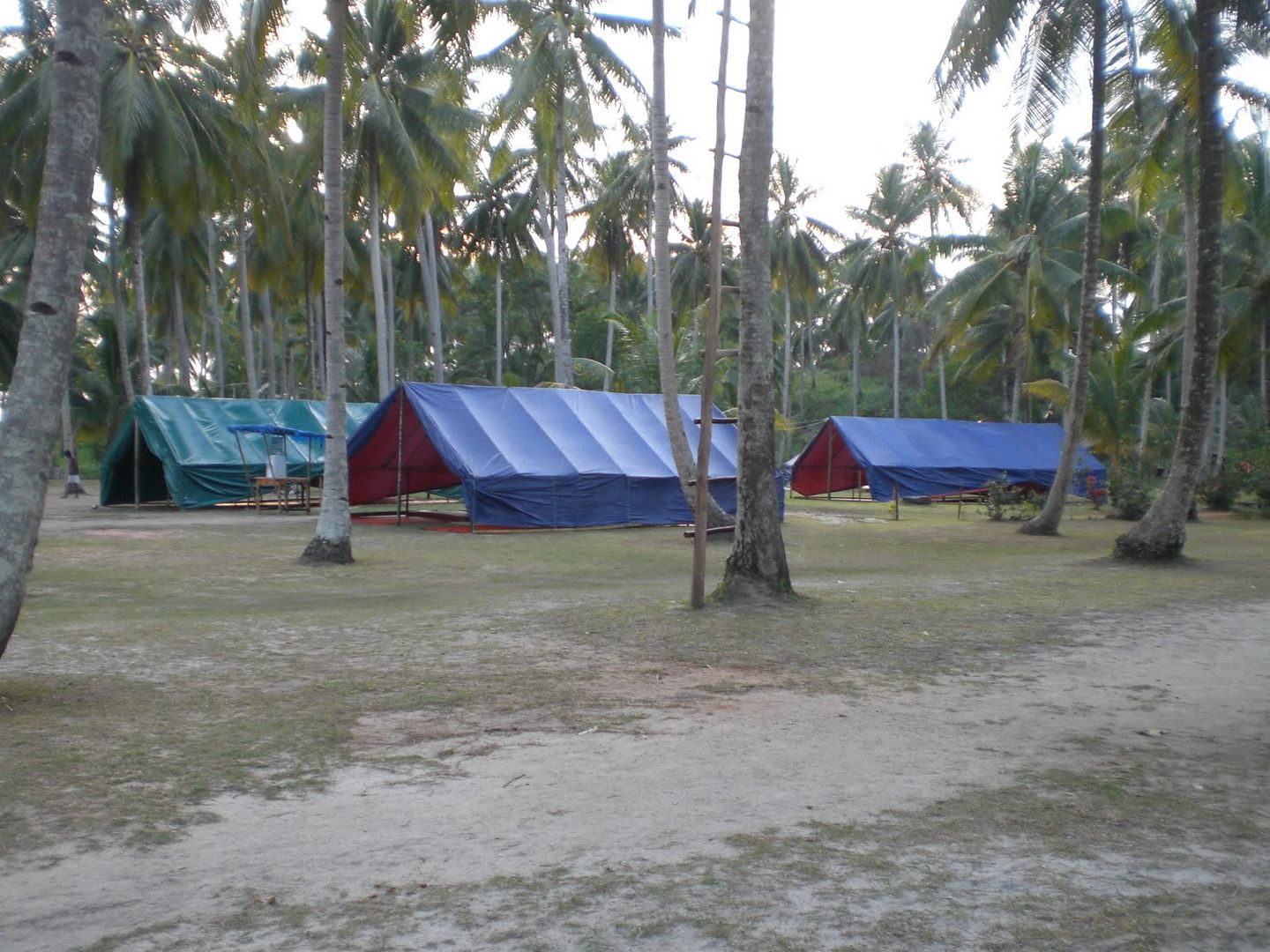 Guy's Tents