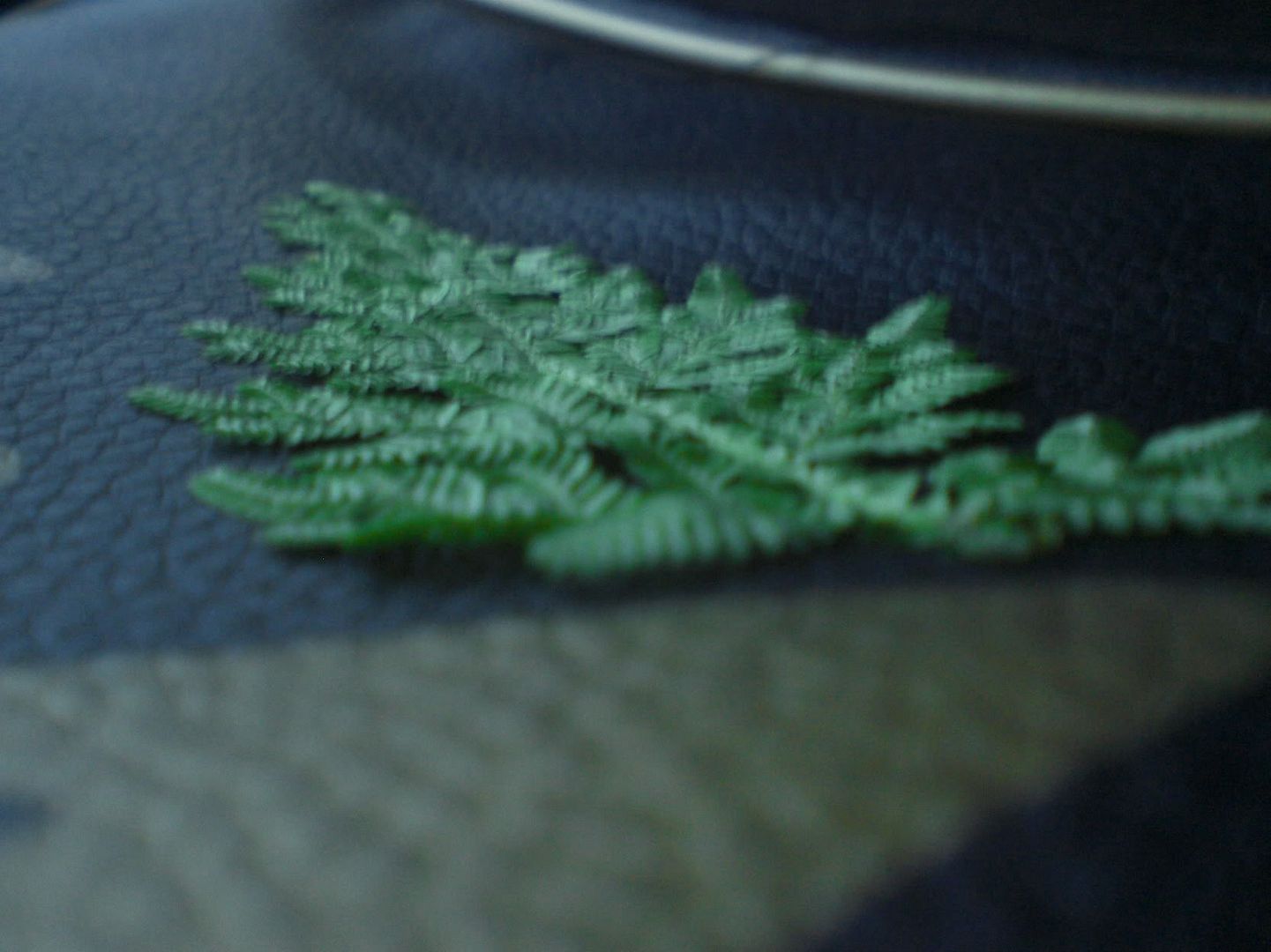 Unique ryt! :B From Bintan O: