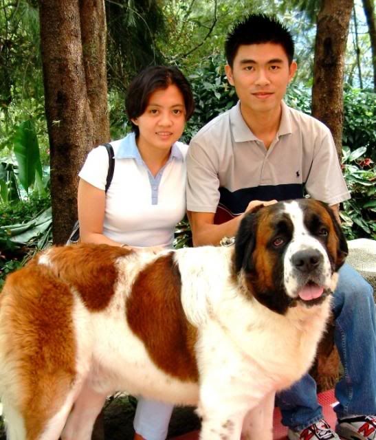 Baguio With Douglas, The Big Dog Photo by haydeeting Photobucket