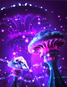 space mushrooms - psy edit