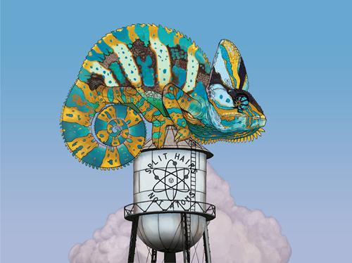 Chameleon Illustration