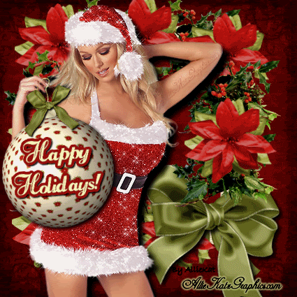 Happy Holidays Comment Pictures, Images and Photos