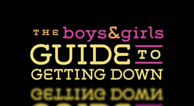 BOYS AND GIRLS GUIDE TO GETTING DOWN 2006AC3 5 1DVDRip FLAWL3SS preview 0
