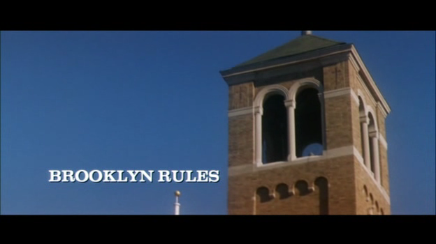 BROOKLYN RULES2007ENGAC3 5 1DVDRip FLAWL3SS preview 0