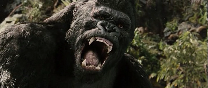 King Kong Extended Edition 2005 BRRip XviD AC3 FLAWL3SS preview 7