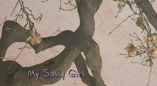 MY SASSY GIRL 2008AC3 5 1DVDRip FLAWL3SS preview 0