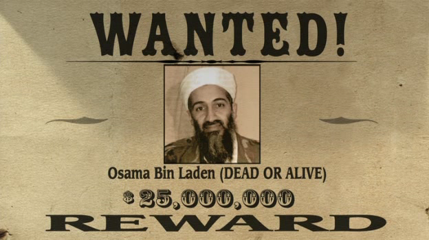 WHERE IN THE WORLD IS OSAMA BIN LADEN 2008AC3 5 1DVDRip FLAWL3SS preview 1
