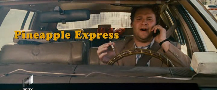 Pineapple Express 2008 DVDSCR Xvid AC3 FLAWL3SS preview 0