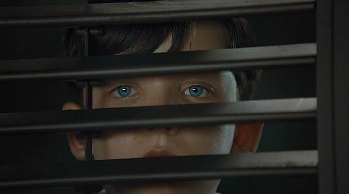 The Boy in the Striped Pyjamas 2008 DVDRip XviD AC3 FLAWL3SS preview 2