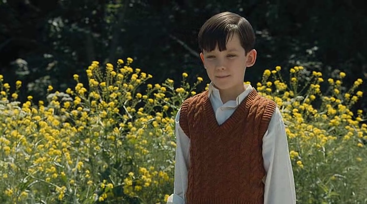 The Boy in the Striped Pyjamas 2008 DVDRip XviD AC3 FLAWL3SS preview 4