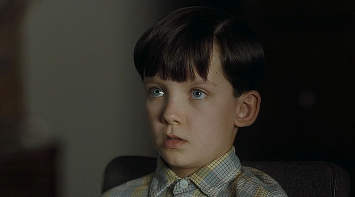 The Boy in the Striped Pyjamas 2008 DVDRip XviD AC3 FLAWL3SS preview 6