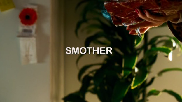 SMOTHER 2007AC3DVDRip FLAWL3SS preview 0