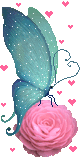 butterfly.gif