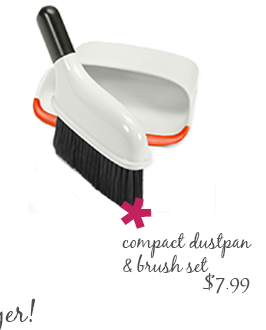 Compact Dustpan & Brush Set