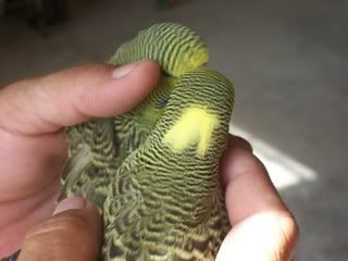 100_0160.jpg