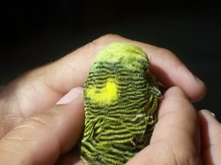 100_0175.jpg