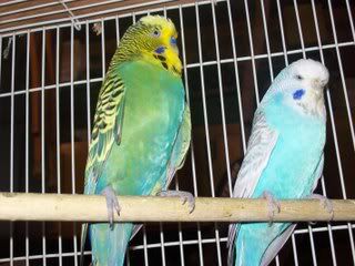 100_0202.jpg