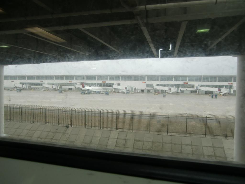 CIMG3554_zps6ae5e09e.jpg
