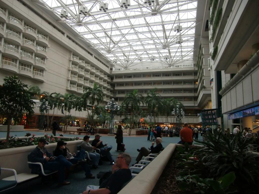 CIMG3604_zps258b6555.jpg