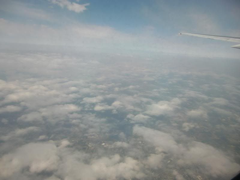 CIMG4320_zpsa3f4acc0.jpg