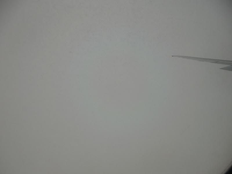CIMG4321_zps4be640b3.jpg
