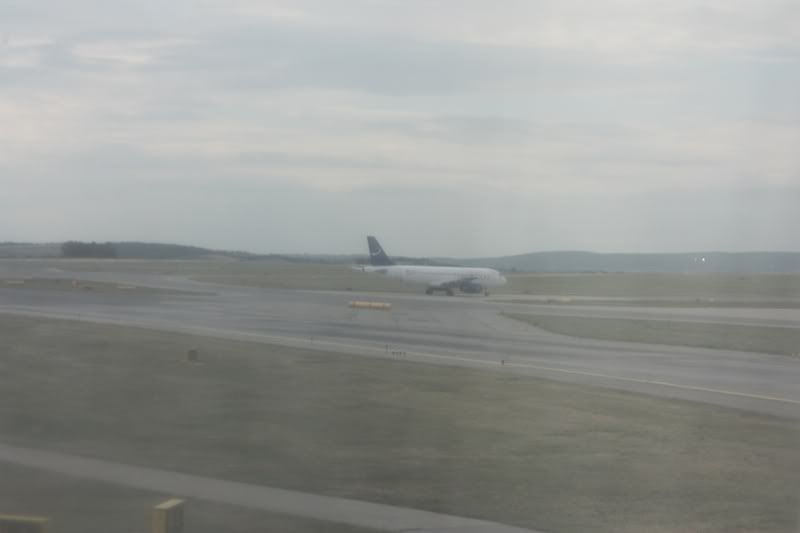 65.jpg