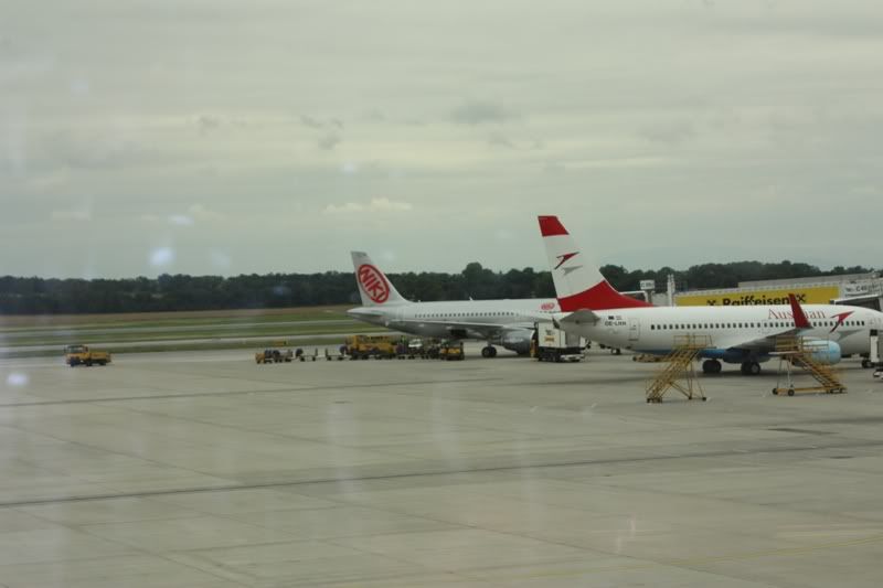 P11.jpg