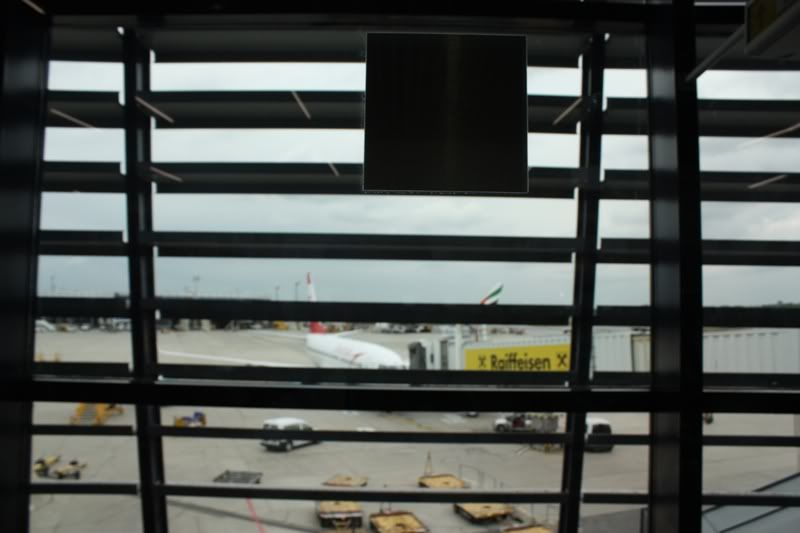 P14.jpg