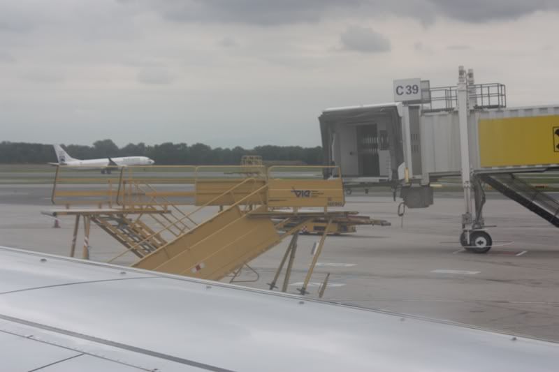 P19.jpg