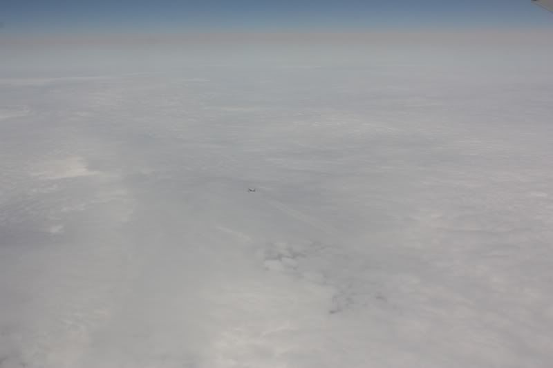 P35.jpg