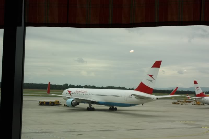 P6.jpg