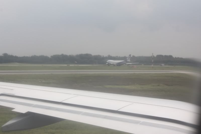 P18.jpg