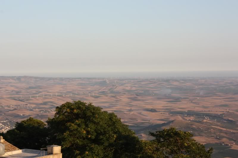 P43.jpg