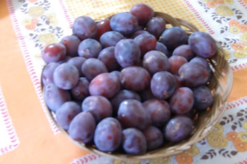 P49.jpg