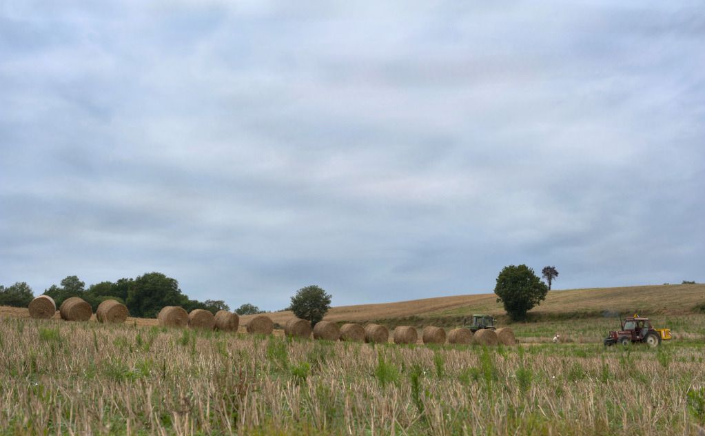 Farm163_4_5_tonemapped.jpg