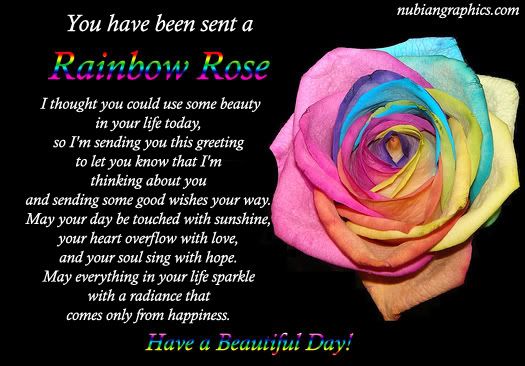 Have a beautiful day - rose
