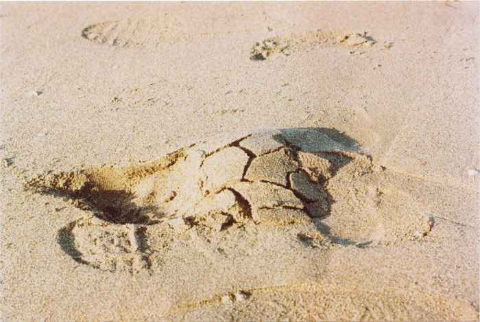 footprints in sand