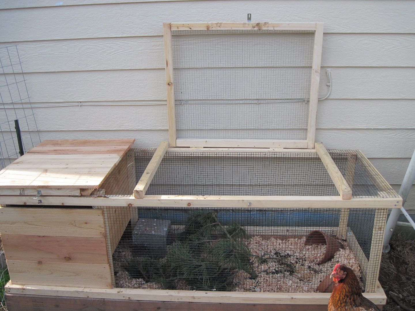 New Quail Coop Out of Eden