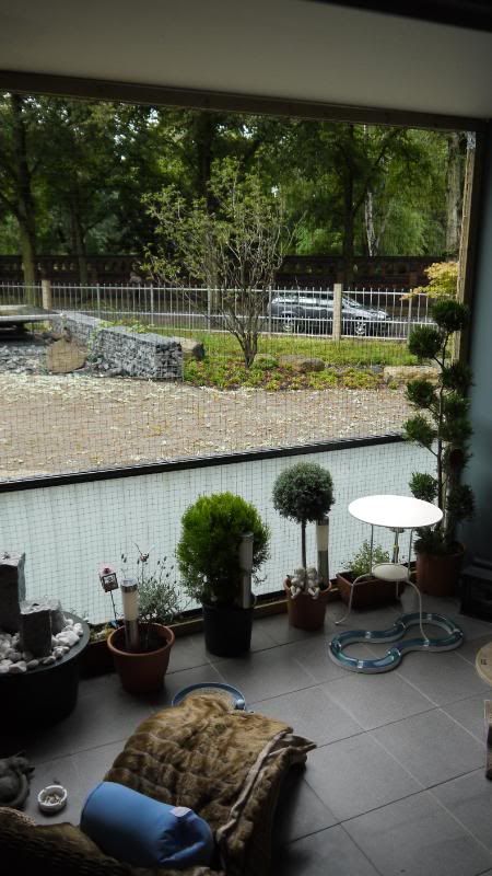 Zeigt Her Eure Katzensicherung Fur Garten Und Balkon Seite 3