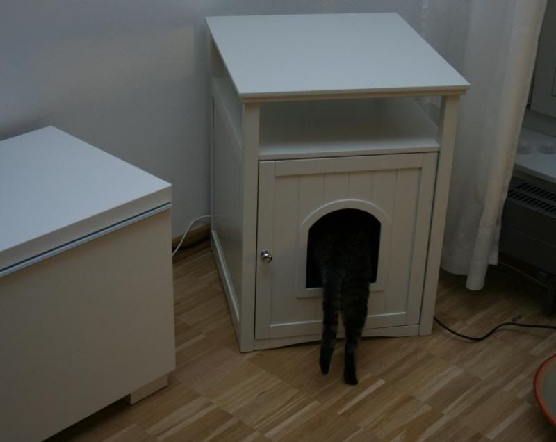 Eigentlich soll das ein Schrank fürs Katzenklo sein... - Katzen Forum