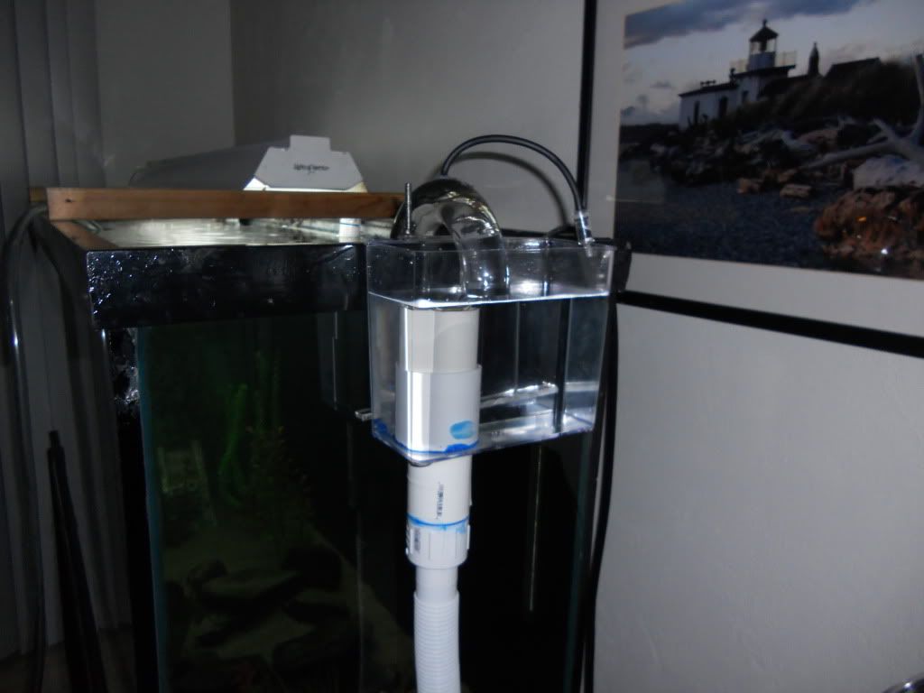 DSCN0367.jpg