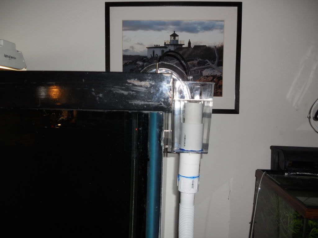 DSCN0368.jpg