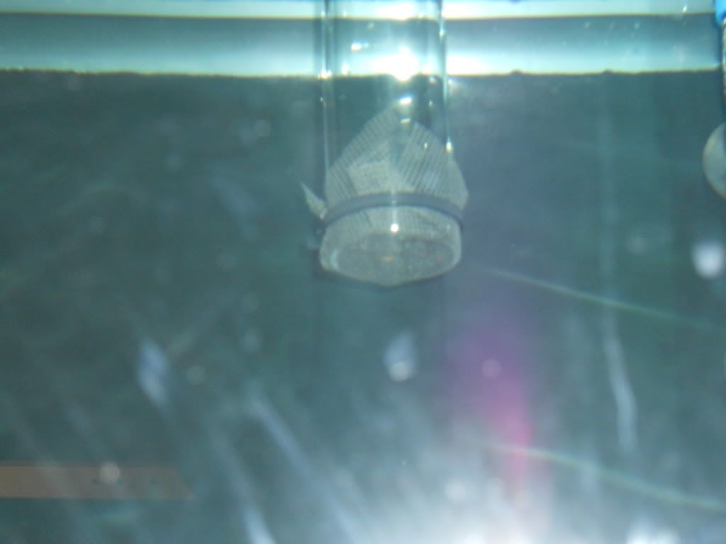 DSCN0374.jpg