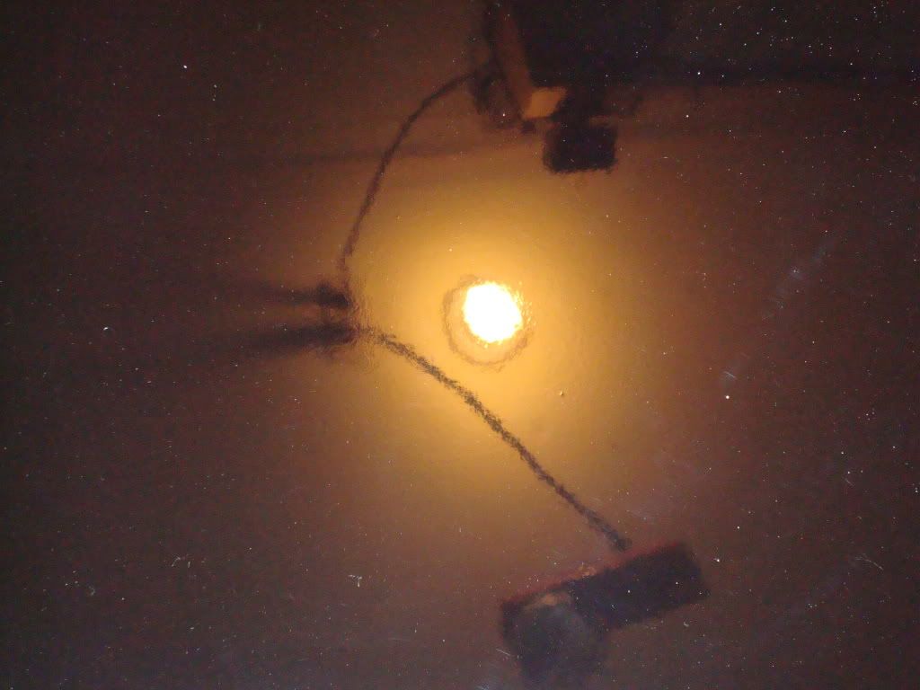 DSC00647.jpg