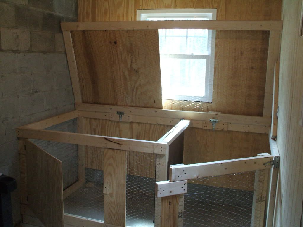 BROODER thread! Post pics of your brooders! Page 25 BackYard