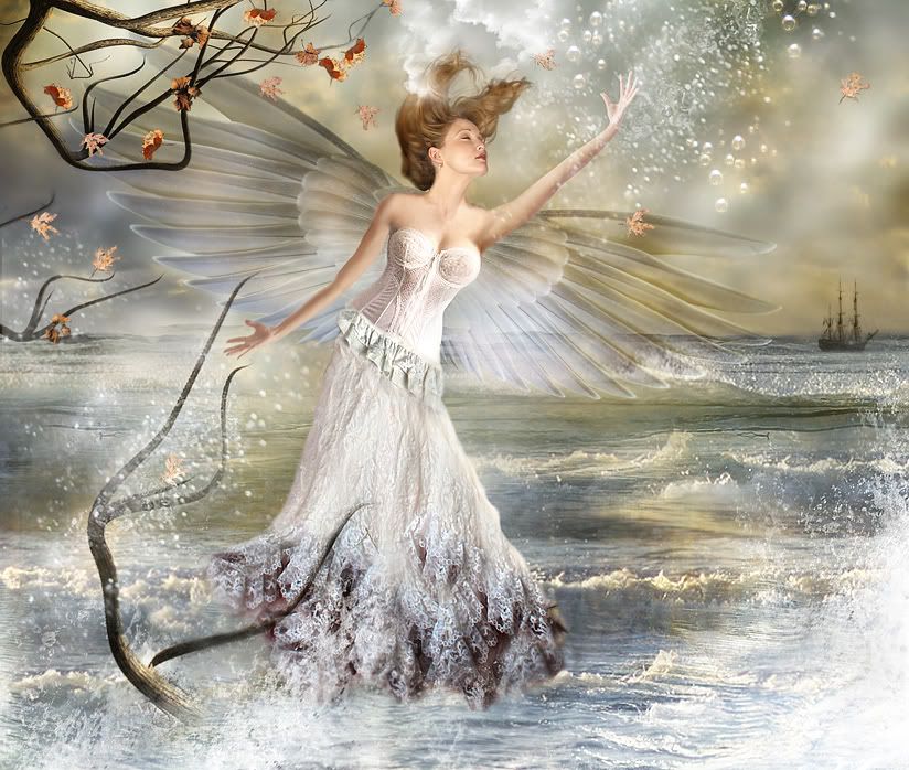 fairy Pictures, Images and Photos